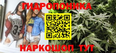 Альфа ПВП Камень-на-Оби
