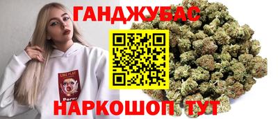 Альфа ПВП Камень-на-Оби