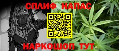 Альфа ПВП Камень-на-Оби
