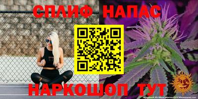 Альфа ПВП Камень-на-Оби