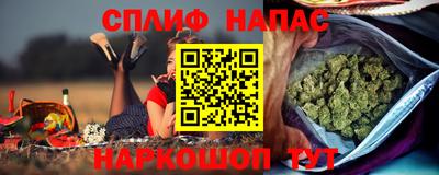 Альфа ПВП Камень-на-Оби