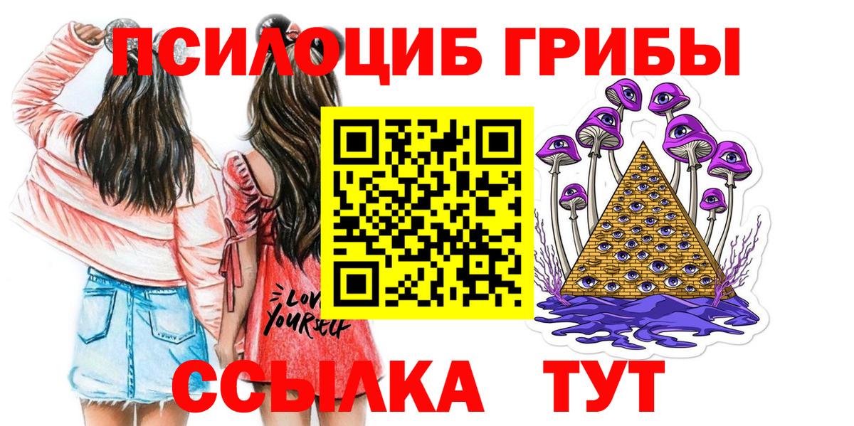 Гудермес  купить закладку  Вход с VPN  Галлюциногенные грибы прущие грибы 