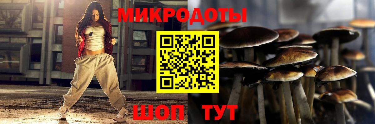 Галлюциногенные грибы ЛСД Гудермес